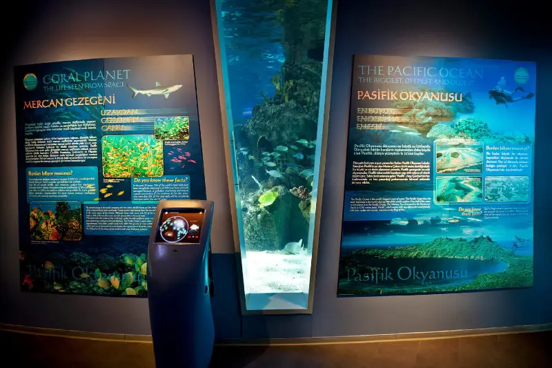 اقیانوس آرام در آکواریوم استانبول