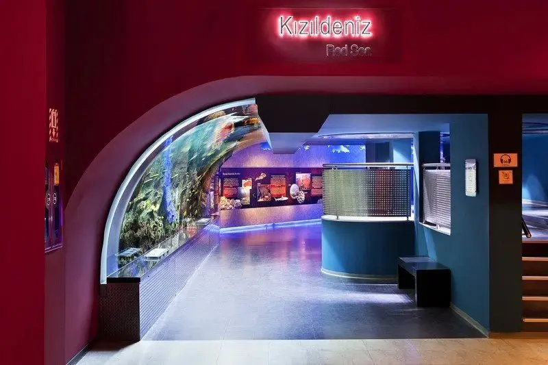 دریای سرخ در آکواریوم استانبول