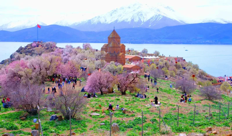 فستیوال شکوفه‌های بادام وان